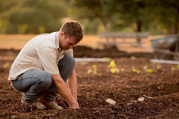 Childhood experiences in potato fields