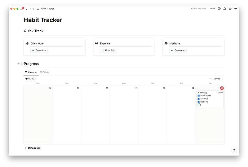 Notion habit tracker interface