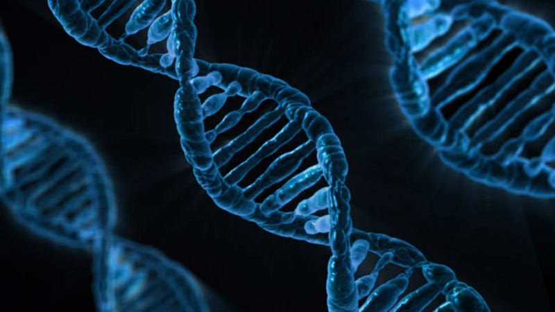 DNA double helix representation