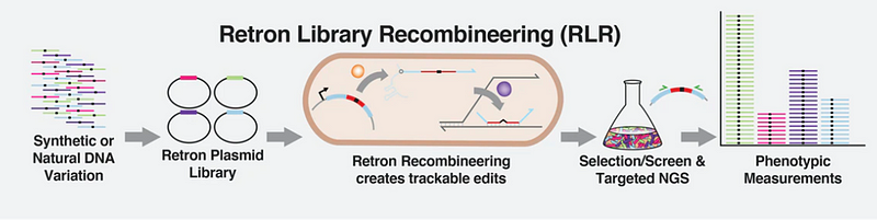 Advancements in genetic sequencing technology