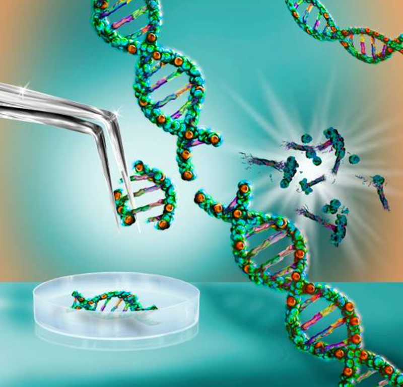 CRISPR technology advancements