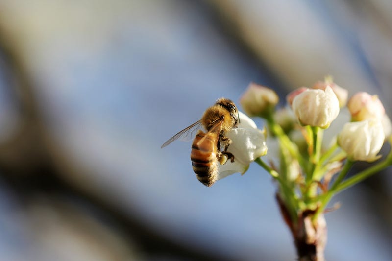 Interactions within an ecosystem