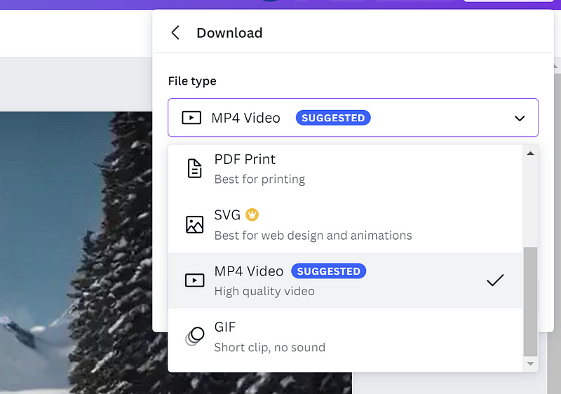 Download options for text-to-video content