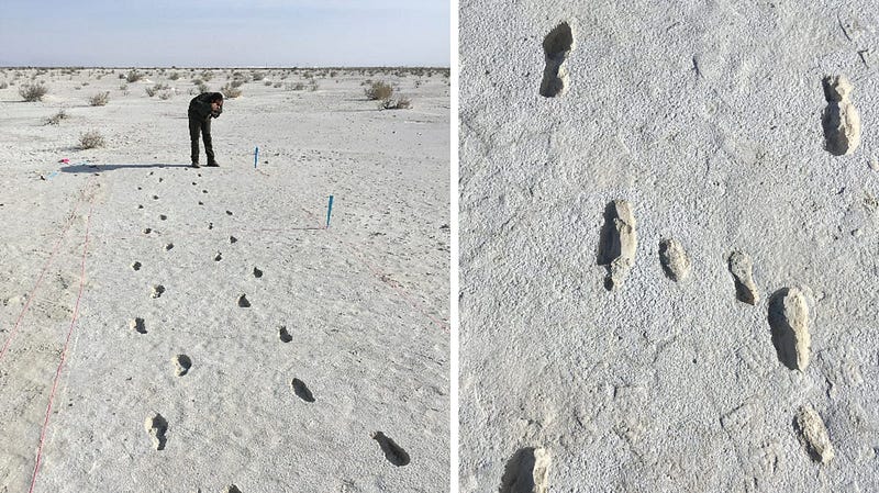 Evidence of ancient human tracks