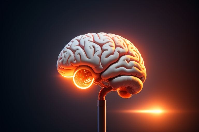 Role of Ions in Nerve Firing