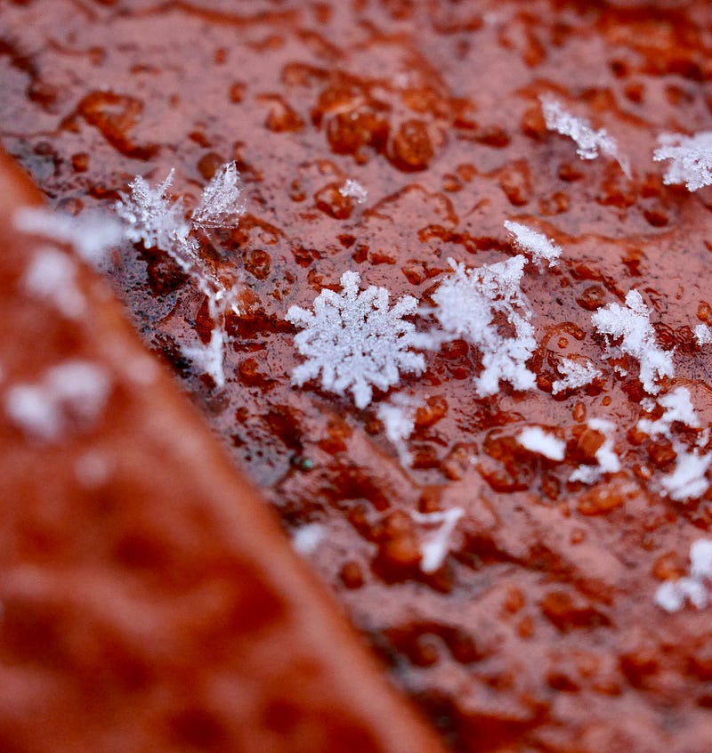 Close-up of snowflake structure