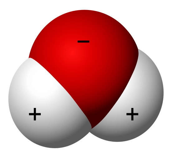 3D representation of a water molecule