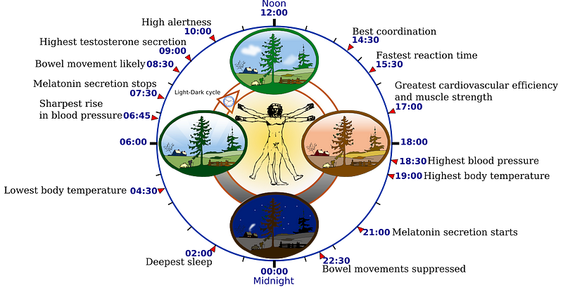 Sunlight and its effect on mood and cognitive function