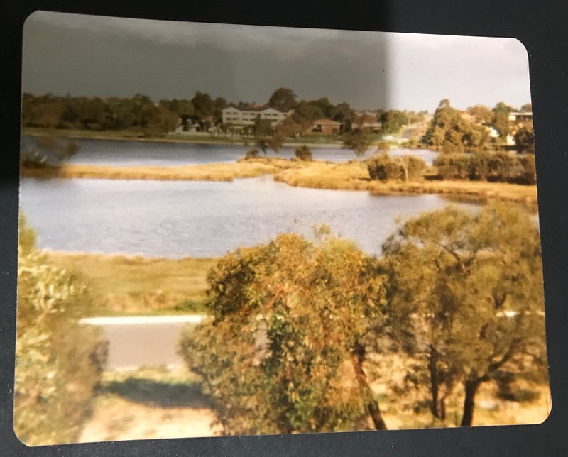 A glimpse of the serene lagoon and river from my childhood.